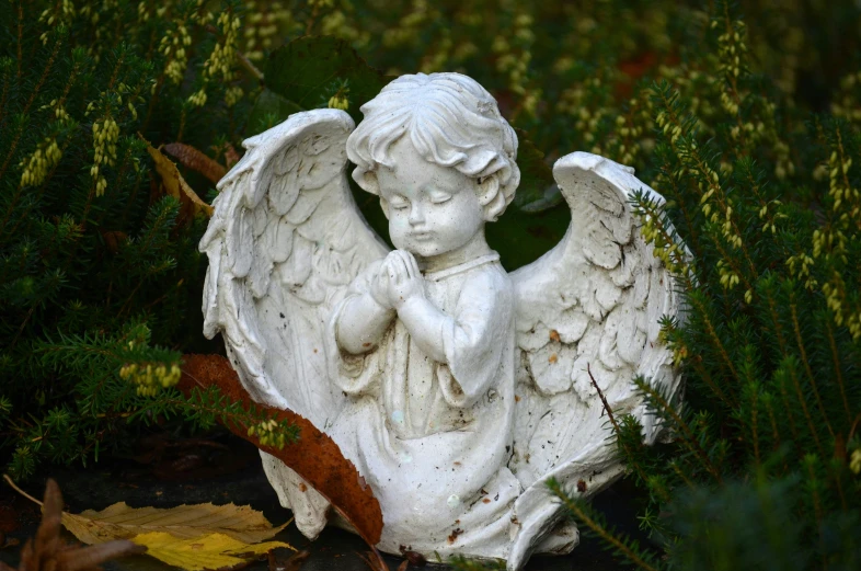 a statue of an angel in a garden, pixabay contest winner, little kid, 15081959 21121991 01012000 4k, high angle close up shot, praying posture