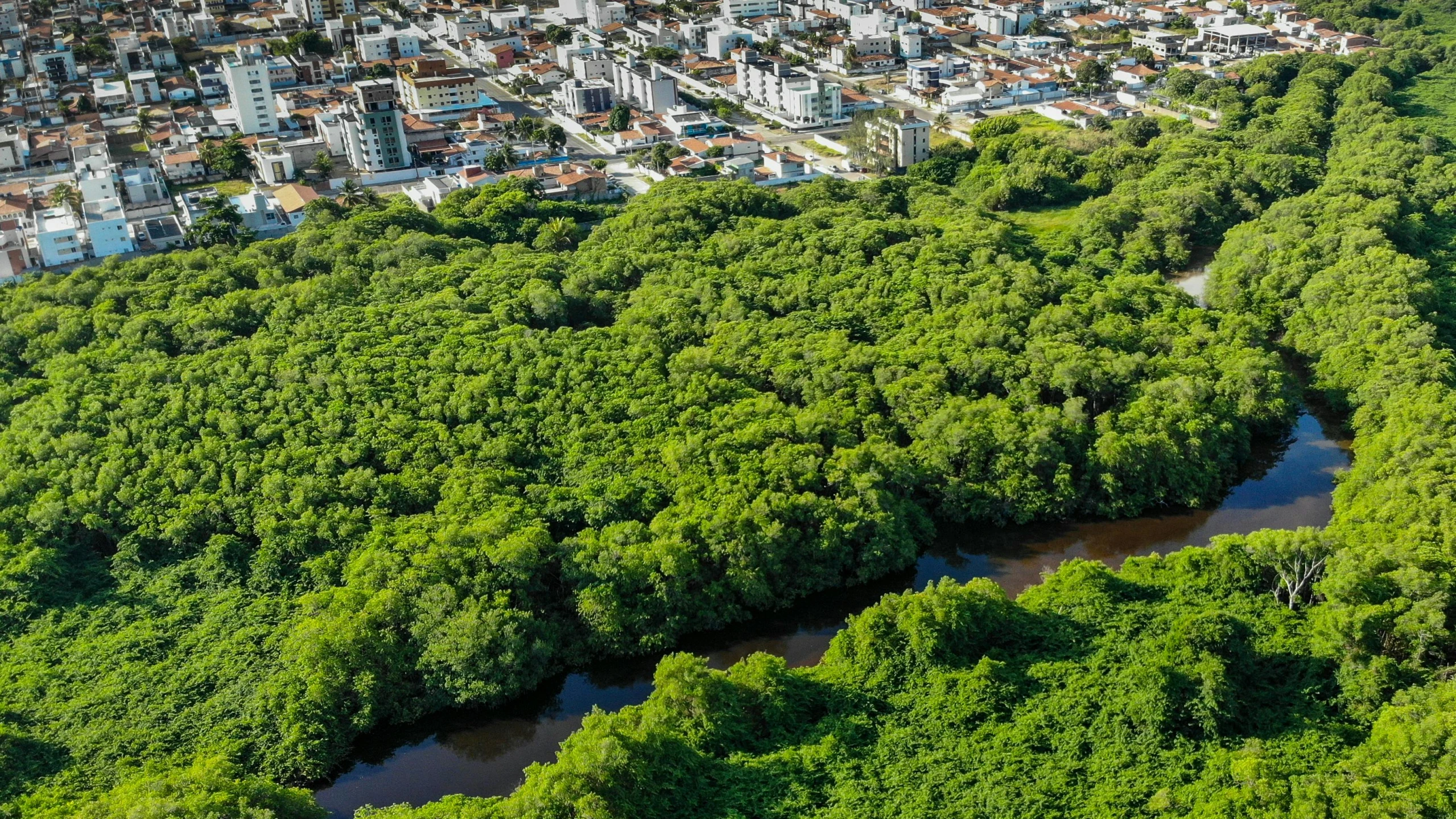 a river running through a lush green forest, an album cover, by Luis Miranda, pexels contest winner, hurufiyya, aerial view of a city, brazilian, (((((((((an overgrown forest, istock