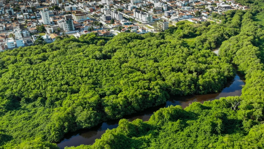 a river running through a lush green forest, an album cover, by Luis Miranda, pexels contest winner, hurufiyya, aerial view of a city, brazilian, (((((((((an overgrown forest, istock