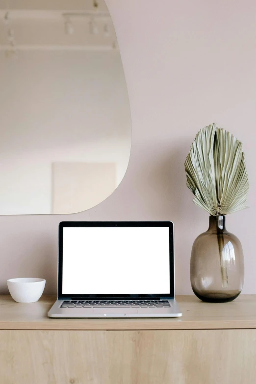 a laptop computer sitting on top of a wooden table, a computer rendering, by Carey Morris, unsplash, computer art, plants in glass vase, beige color scheme, mirror background, rounded lines