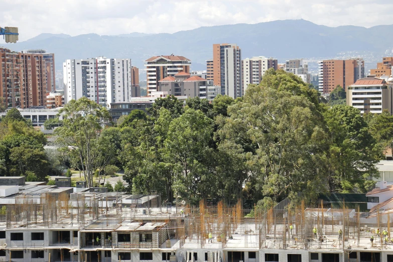 some tall buildings and trees in front of a city