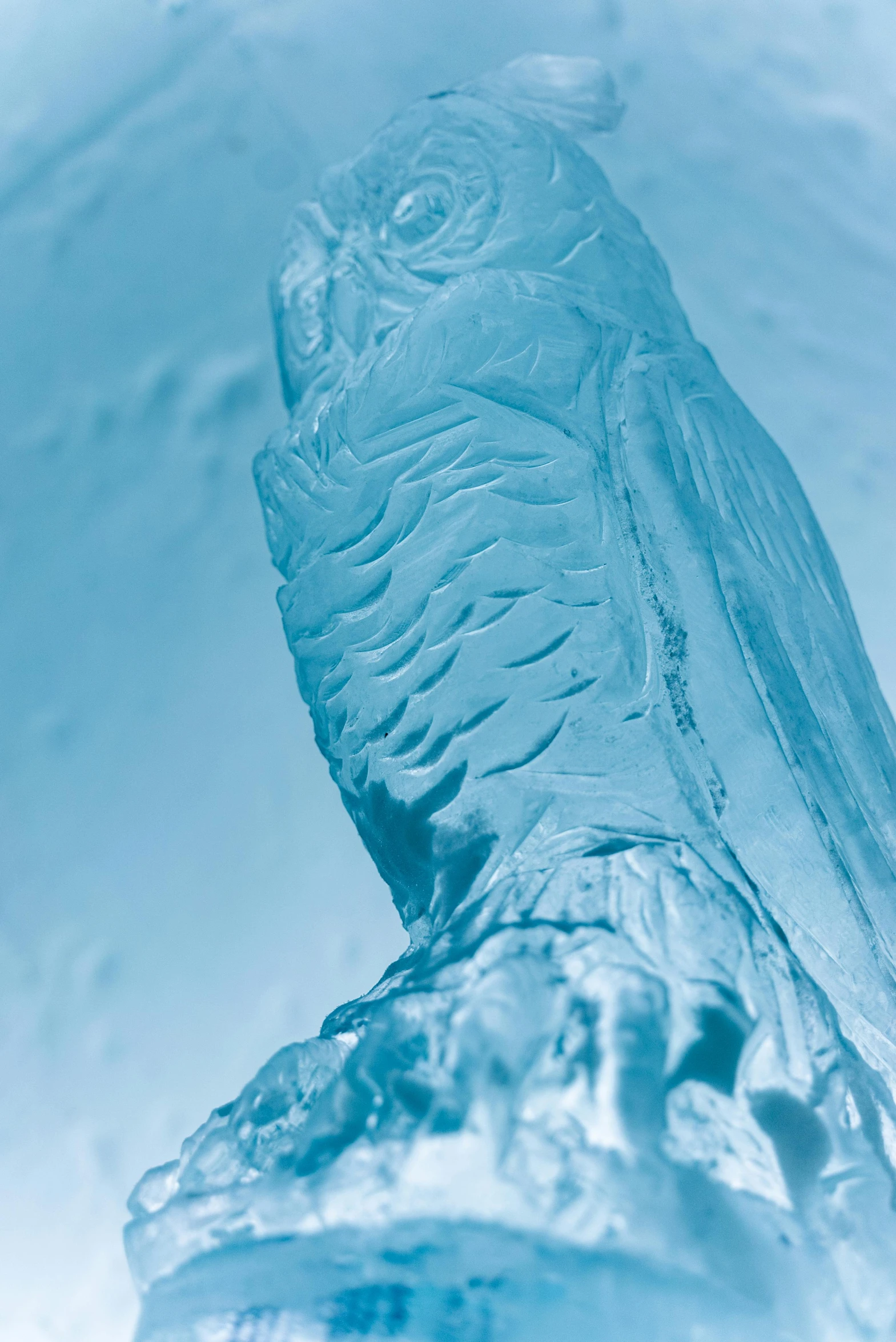 an icy ice sculpture that resembles an owl