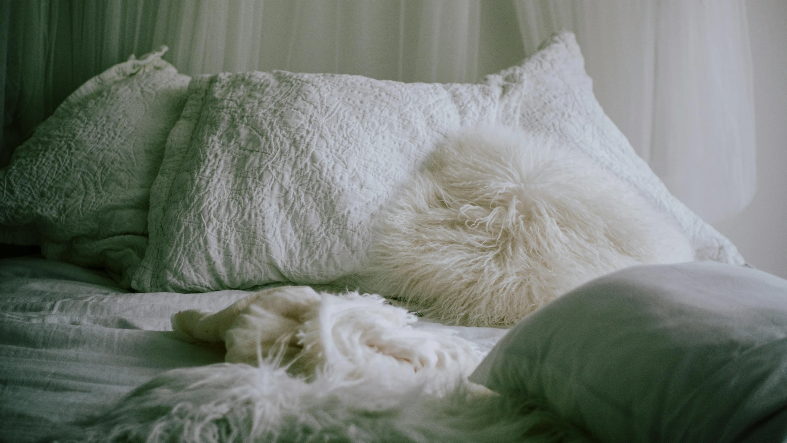 a dog laying on the bed with pillows on it