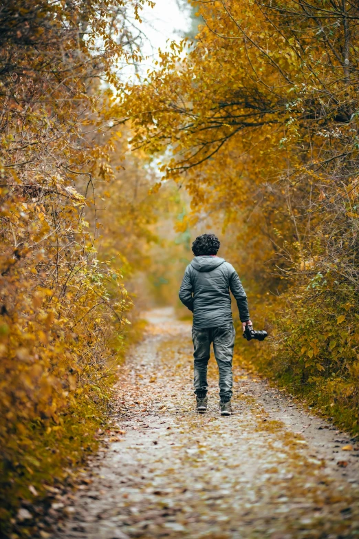 a person walking down a path in the woods, holding a camera, in fall, walking boy, award-winning shot