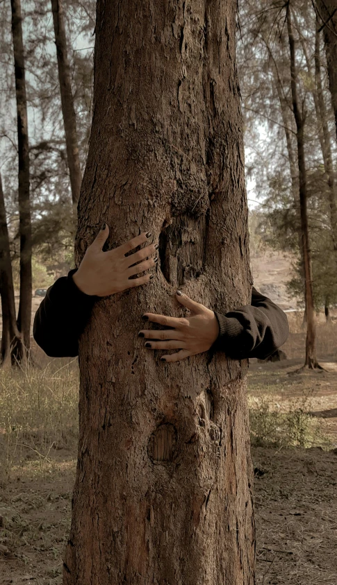 a person hugging a tree in a forest, an album cover, by Marina Abramović, unsplash, environmental art, reza afshar, brown, ignant, close - up photograph