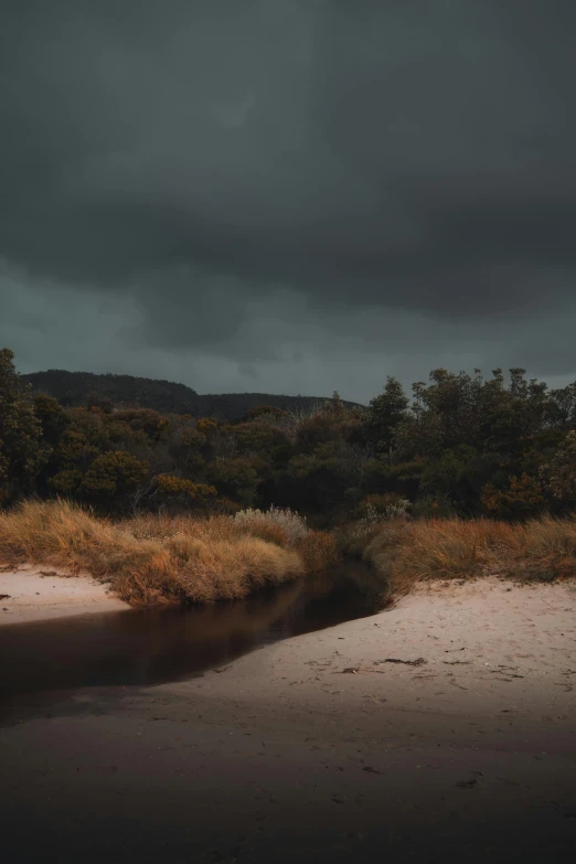 a small river near some grass and trees under a cloudy sky