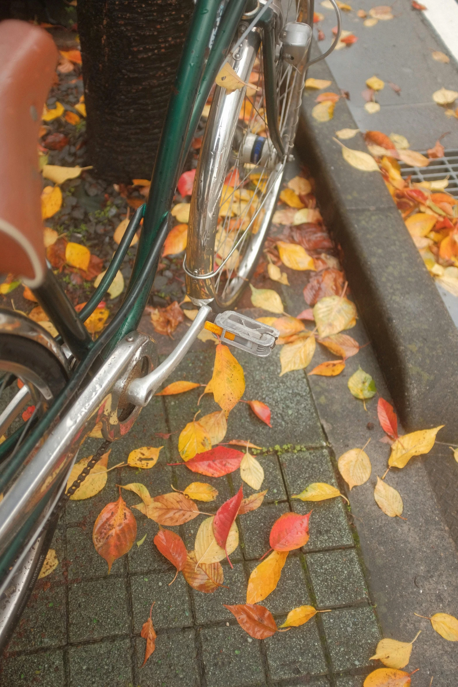 a close up of a bike parked on a sidewalk, falling leaves, seattle, photographs, close - up photograph