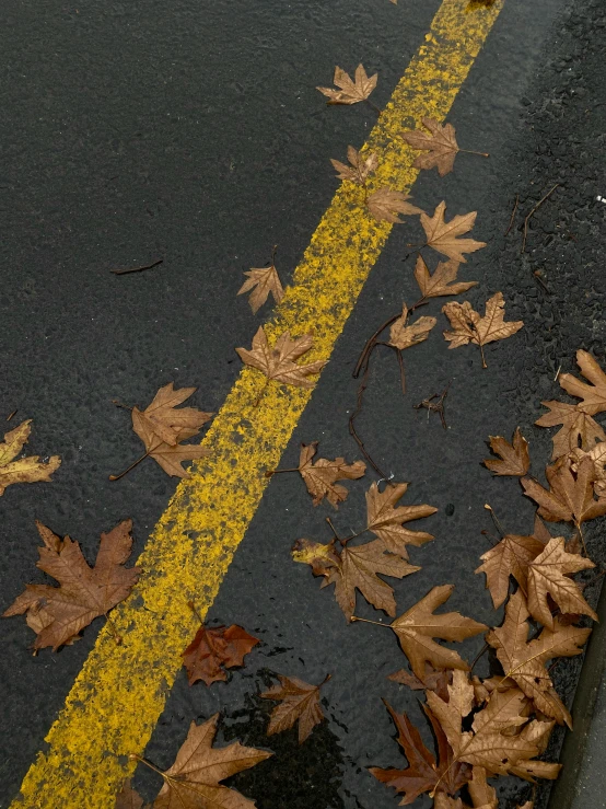 a yellow fire hydrant sitting on the side of a road, an album cover, inspired by Elsa Bleda, photorealism, oak leaves, ignant, medium closeup, marking lines