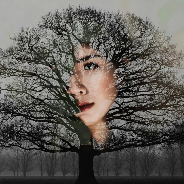 a tree with a woman's face on it, a picture, inspired by Jung Park, pexels contest winner, asian face, dissociation, centered face, profile pic