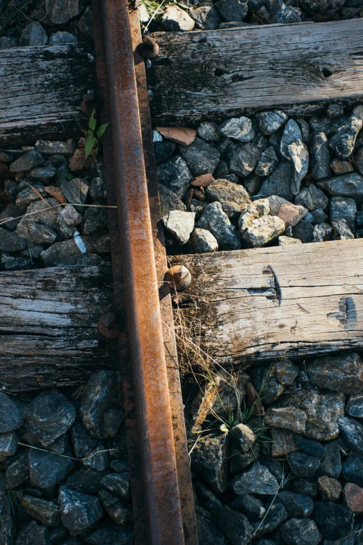 a red fire hydrant sitting on top of a train track, an album cover, by Elsa Bleda, unsplash, renaissance, vines and cracked wood, rocks and metal, gravel and scree ground, high angle close up shot