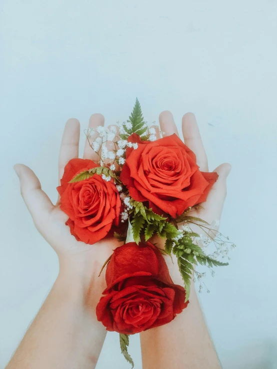 a person holds three red roses in their hands