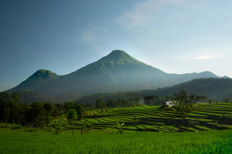 a view of a grassy field with a mountain in the background