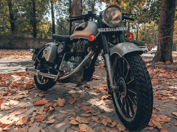 a motorcycle that is sitting in the leaves, pexels contest winner, on an indian street, looking regal and classic, cel shaded pbr, highly realistic photo