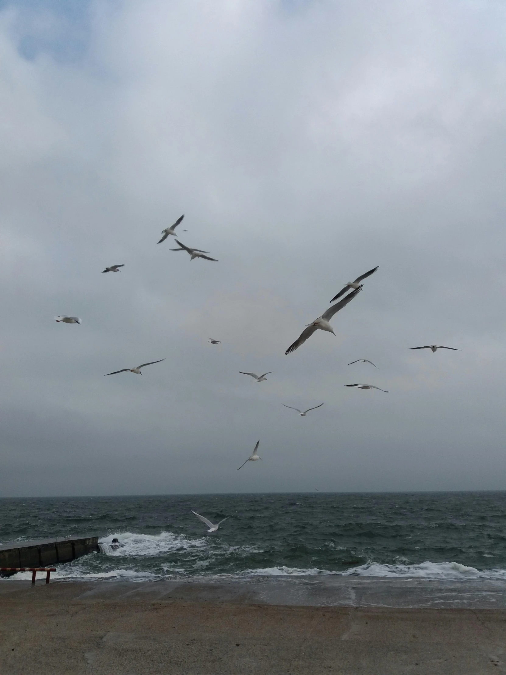 a flock of seagulls flying over a beach, by Ilya Ostroukhov, hurufiyya, while it's raining, subreddit / r / whale, low quality photo, outdoor photo