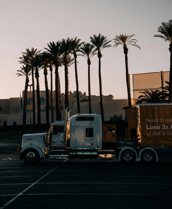 a semi truck parked in a parking lot with palm trees in the background, pexels contest winner, walls of large moving images, date trees, early evening, hollywood promotional image