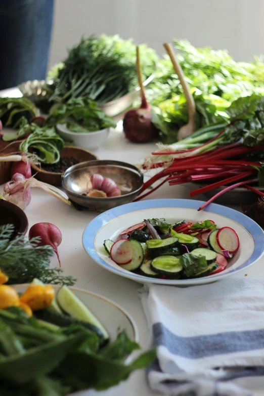 a table topped with lots of different types of vegetables, by Elizabeth Durack, cutting a salad, enamel, pickles, day light