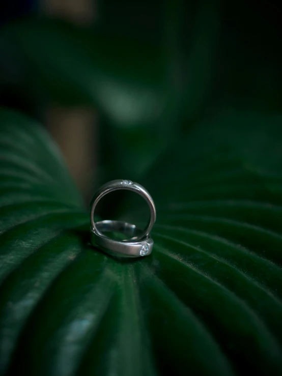 a wedding ring sitting on top of a green leaf, inspired by L. A. Ring, unsplash, minimalism, platinum jewellery, in a jungle environment, embedded with gemstones, profile shot