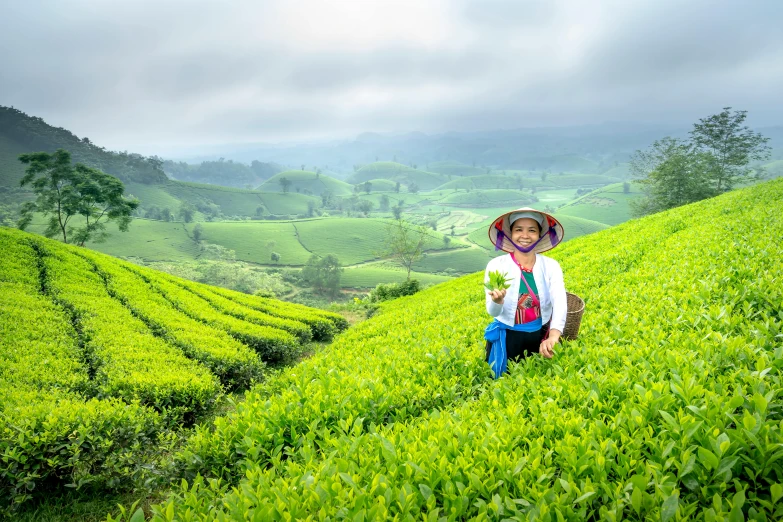 a woman standing on top of a lush green hillside, by Basuki Abdullah, pexels contest winner, sumatraism, background: assam tea garden, square, avatar image, green and blue