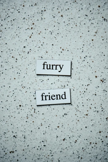two pieces of paper that say furry and friend, by Rupert Shephard, trending on unsplash, concrete poetry, her friend, white fur, made of glazed