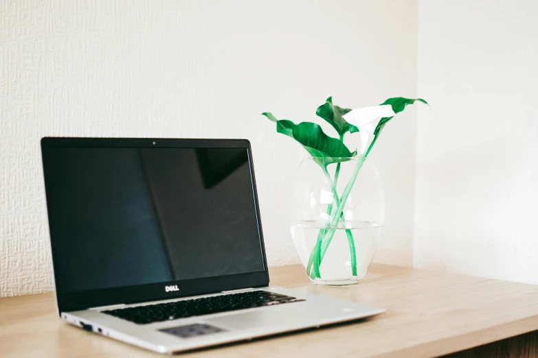 a laptop computer sitting on top of a wooden desk, unsplash, plants in glass vase, simple white background, green and white, very ornate