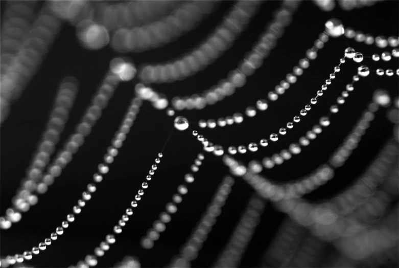 a spider web covered in water droplets, a macro photograph, by Caroline Mytinger, pixabay, minimalism, pearls and chains, silver gelatin print, elegant noir, ((chains))