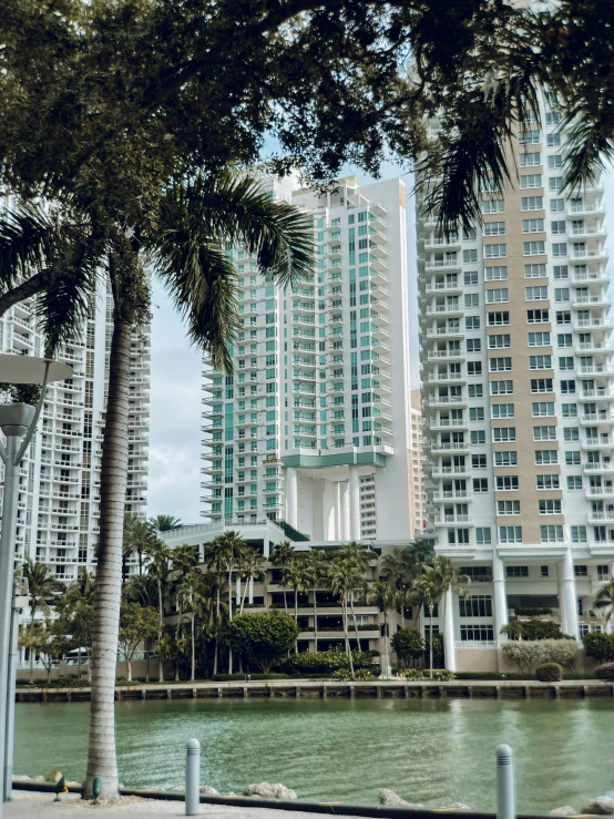 a tall white building surrounded by palm trees