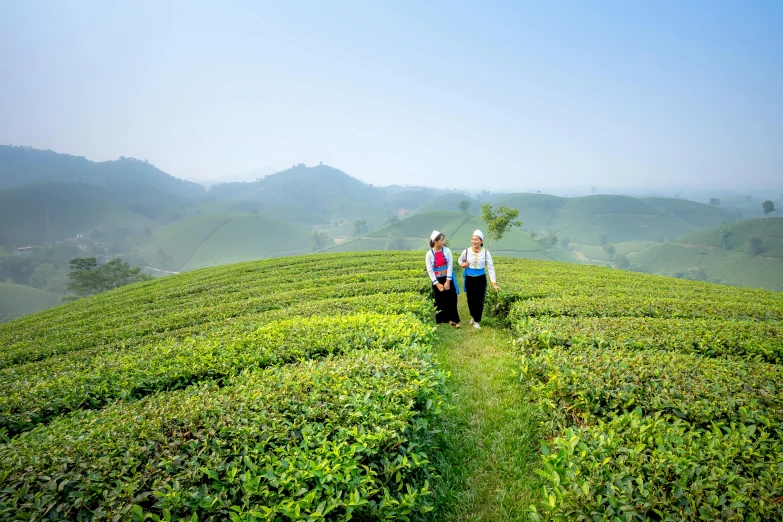 a couple of women standing on top of a lush green hillside, pexels contest winner, sumatraism, assam tea garden setting, avatar image, belgium, walking towards the camera