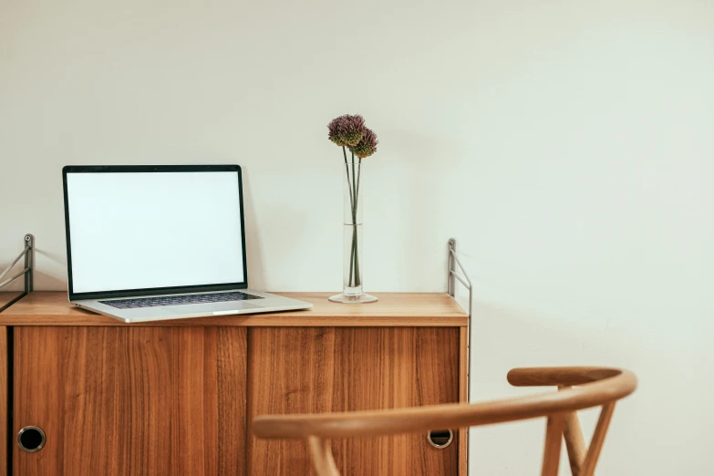 a laptop computer sitting on top of a wooden desk, inspired by Constantin Hansen, unsplash, postminimalism, wooden cabinet, white background, small room in tokyo, flowers around