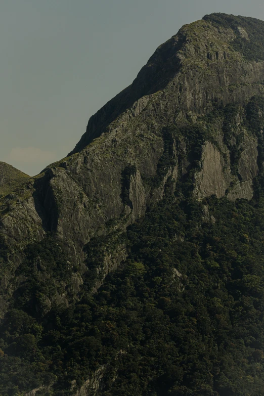 a mountain is covered in trees on a clear day