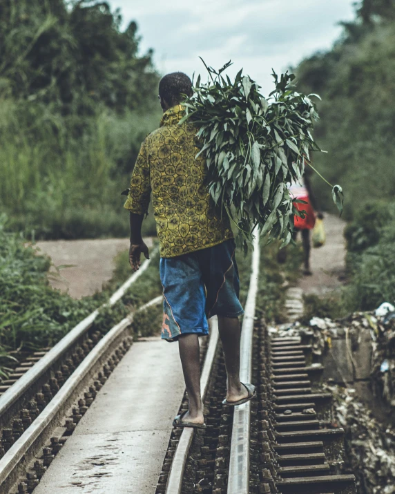 a man walking down a train track carrying a bunch of plants, ganja, in africa, trending photo, lgbt