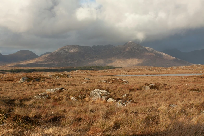 an open grassland with rocks on it and mountain behind it