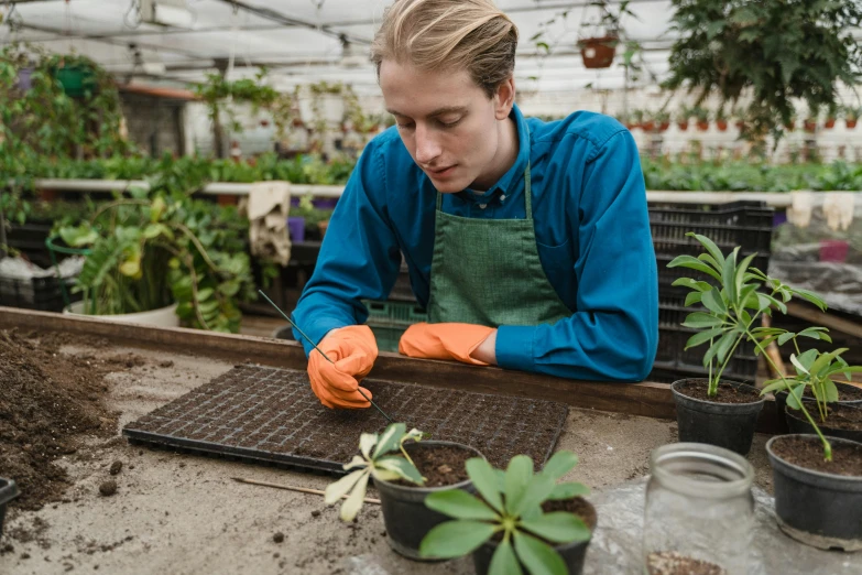 a woman in an apron working in a greenhouse, pexels contest winner, plant armour, plating, rectangle, ilustration