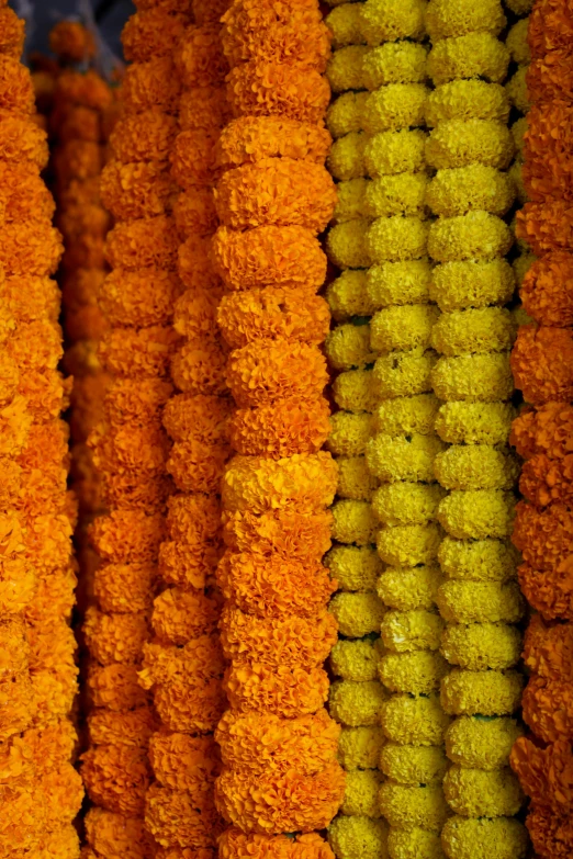 a close up of a bunch of orange and yellow flowers, arabesque, standing in a hindu kovil, orange fluffy spines, in a row, market