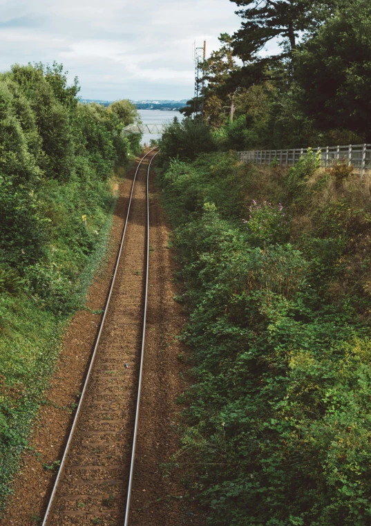 a train track going past some forest near the water