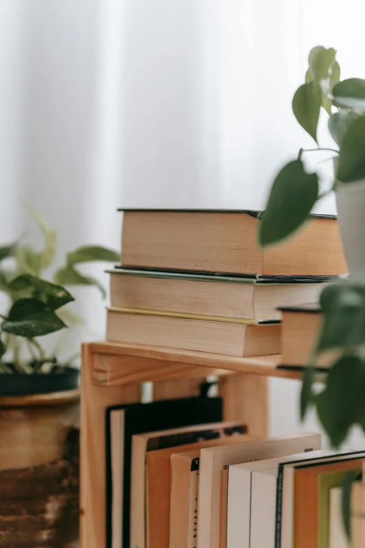 a stack of books sitting on top of a table next to a potted plant, wooden supports, detailed product image, multiple stories, indoor shot