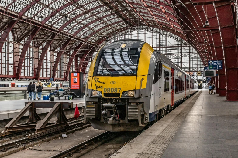 a large long train on a steel track, by Jacob van Utrecht, pexels contest winner, art nouveau, yellow and charcoal, train station, square, 1 4 9 3