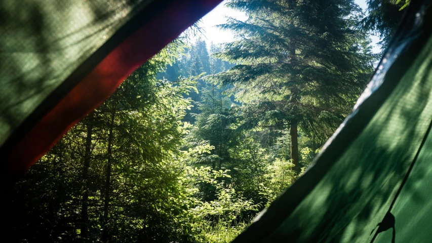 a view of a forest from inside a tent, hurufiyya, green and red, canopee, exterior shot, evergreen