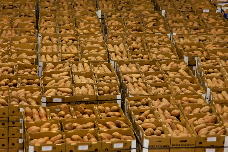 a large room filled with lots of boxes of potatoes, precisionism, peter dutton as a potato, bay area, leaked