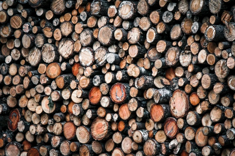 a pile of wood stacked on top of each other, by Jaakko Mattila, unsplash, highly detailed image, instagram post, high resolution, woodfired