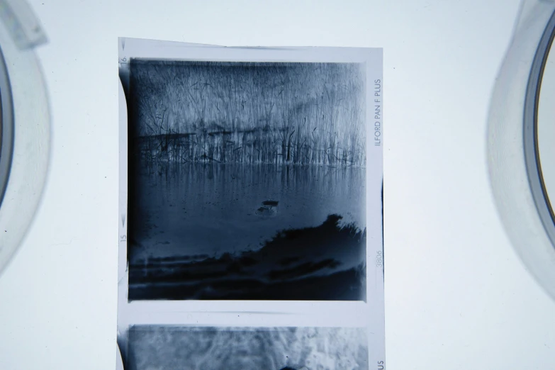 a couple of pictures sitting on top of a counter, a polaroid photo, inspired by Raoul Ubac, unsplash, art photography, in a pond, bad photocopy, ir 660 nm, scratches on photo