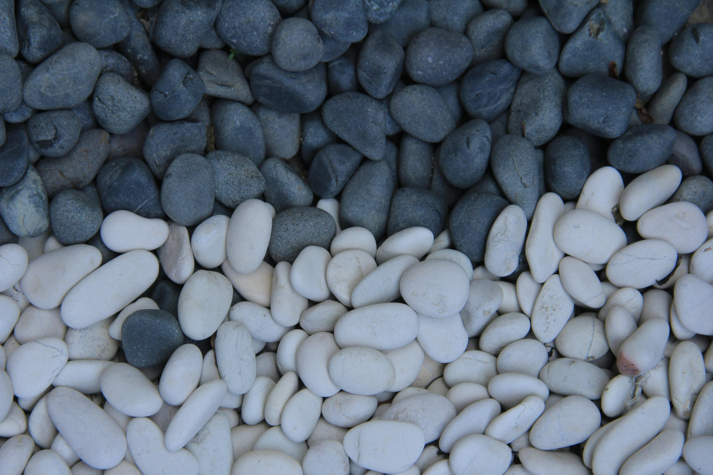 a close up of a pile of white and black rocks, a mosaic, inspired by Hasegawa Tōhaku, unsplash, shades of blue and grey, beans, gardening, moonlight grey