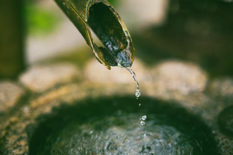 a close up of a water fountain with water coming out of it, by Cherryl Fountain, trending on unsplash, hurufiyya, plant sap, buddhist, thumbnail, high angle close up shot