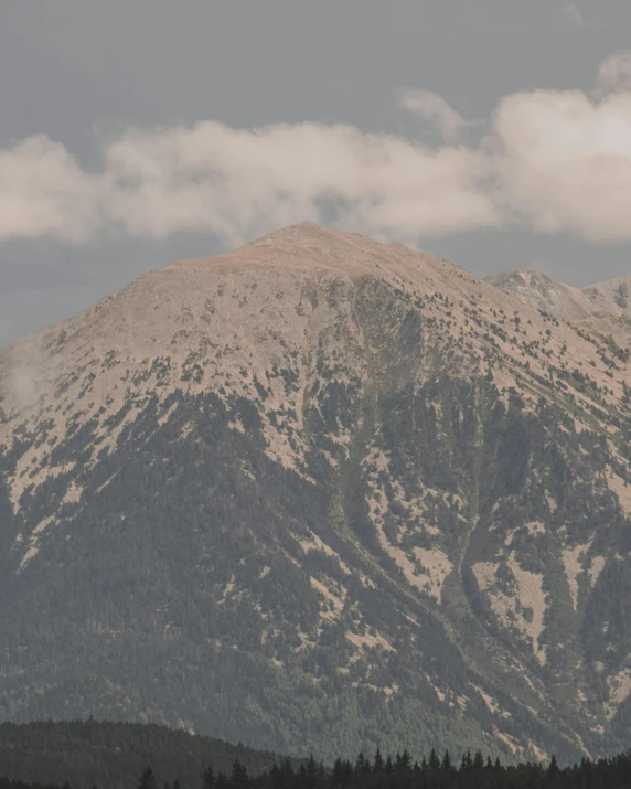 a mountain with lots of trees under a cloudy sky