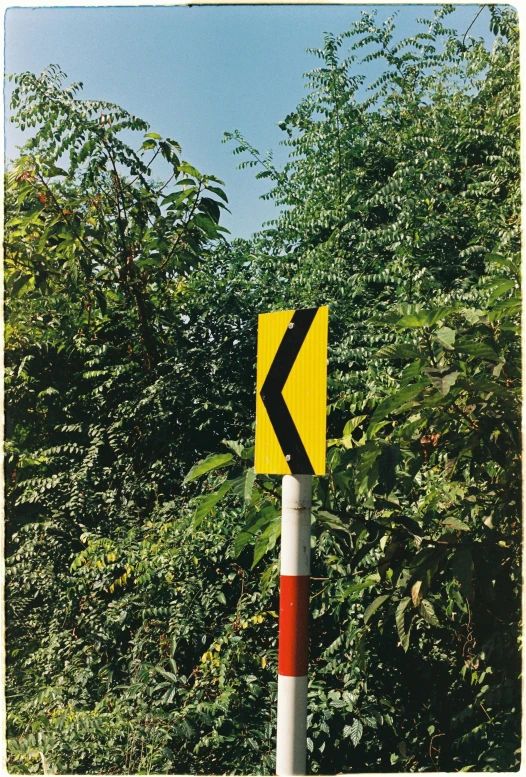 a yellow arrow sign sitting next to the woods