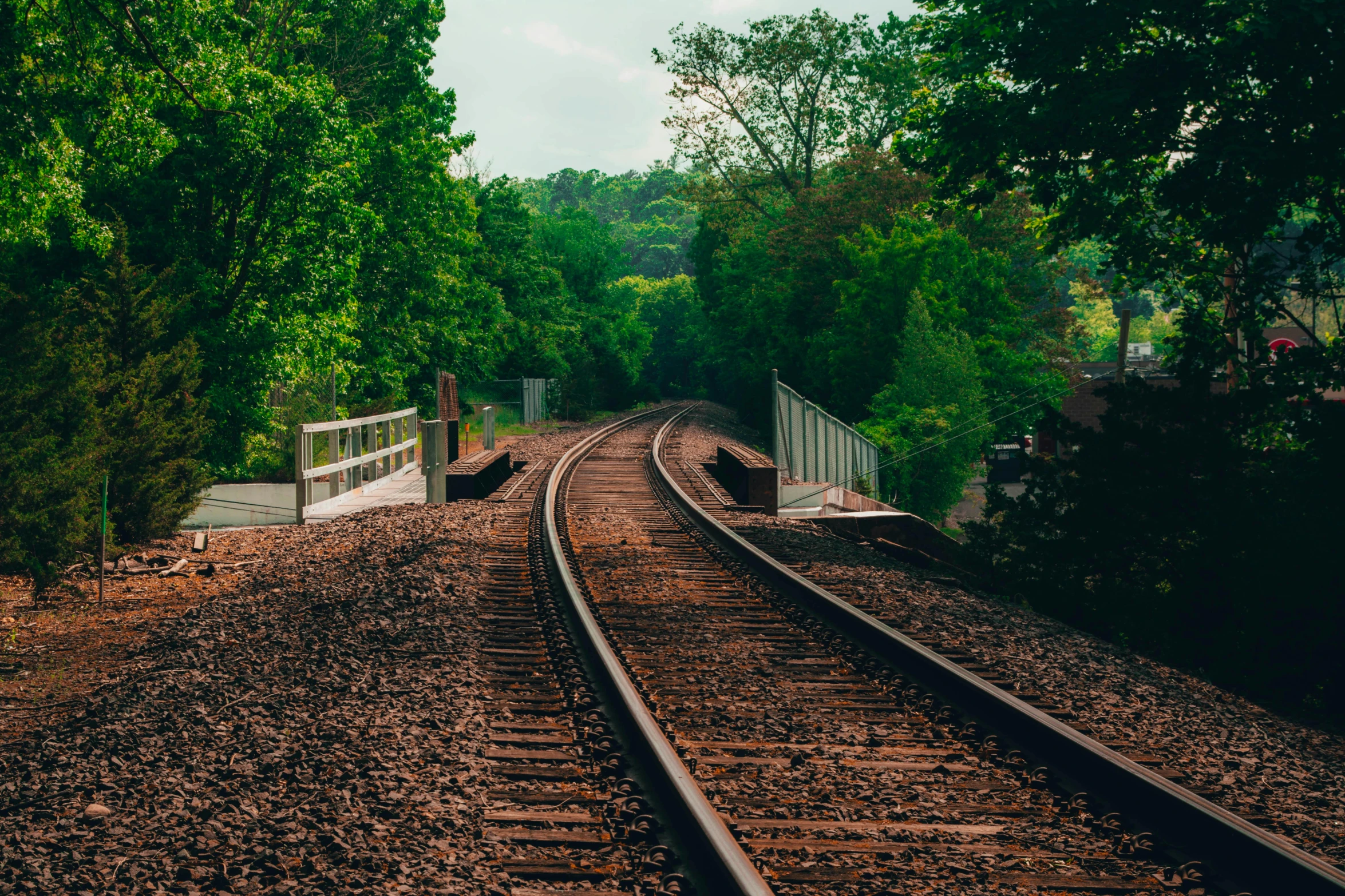 a train track running through a lush green forest, profile picture 1024px, fan favorite, urban surroundings, exterior shot