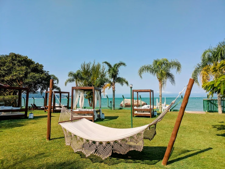 a hammock set up outside in a grassy area with palm trees and the ocean in the background