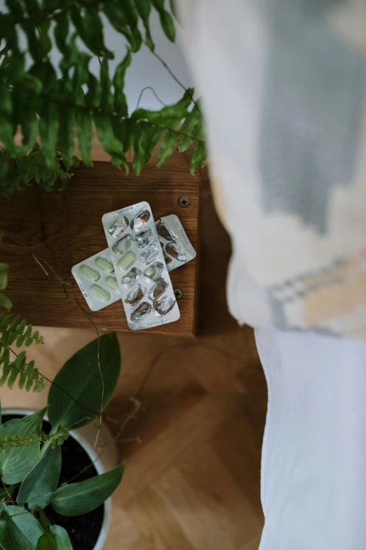 there are small coasters in front of a plant