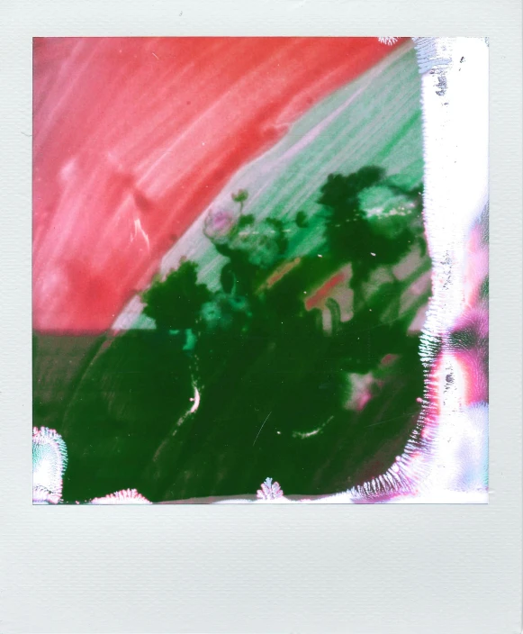 a polaroid picture of a red and green umbrella, inspired by Sigmar Polke, unsplash, databending, green and red plants, paint swirl aesthetic, translucent sss