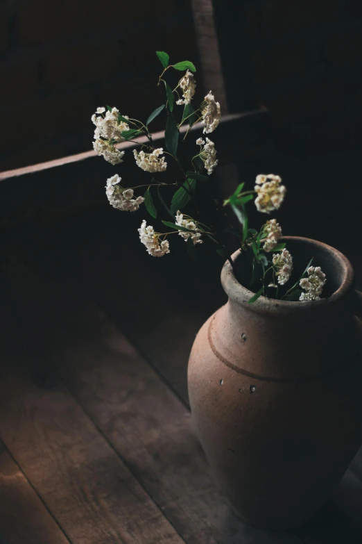 a plant sits in a flower vase on a wooden table