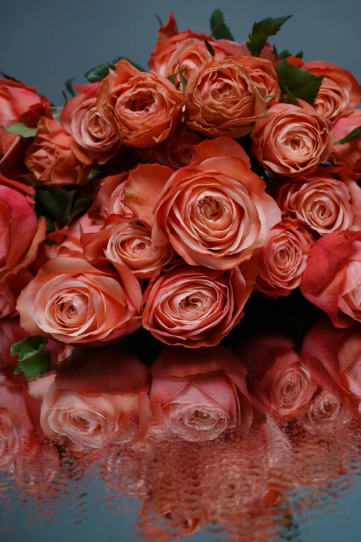 orange roses with green leaves on a table